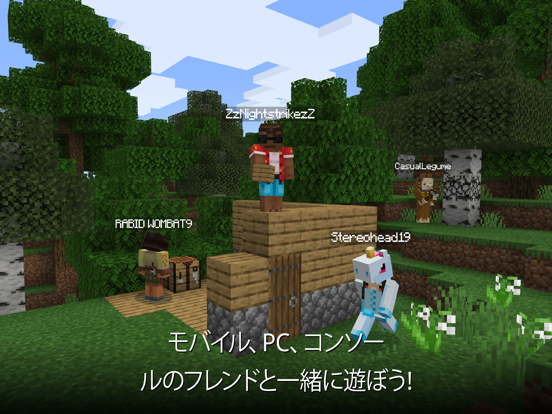 Minecraft スクリーンショット4